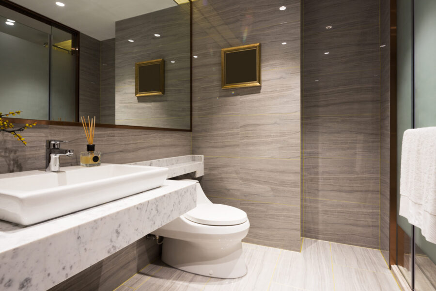 toilet project Image