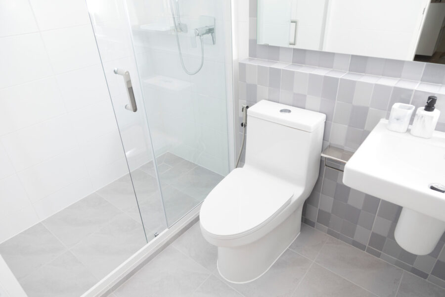 toilet project Image